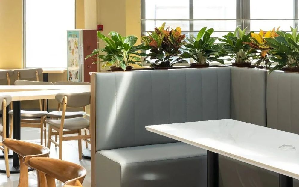 廣州天省實驗學(xué)校